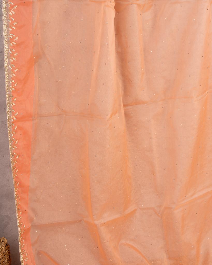 Pastel Peach Partywear Pure Orgaza Silk saree with Cutdana and Pearl Hand Embroidered Borders with Intricate Handwork Blouse | Blouse Size 38-44” | Free Shipping