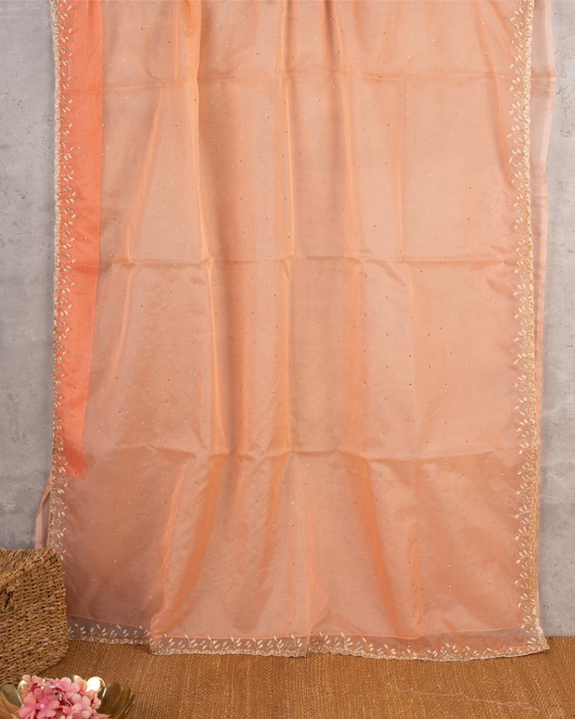 Pastel Peach Partywear Pure Orgaza Silk saree with Cutdana and Pearl Hand Embroidered Borders with Intricate Handwork Blouse | Blouse Size 38-44” | Free Shipping