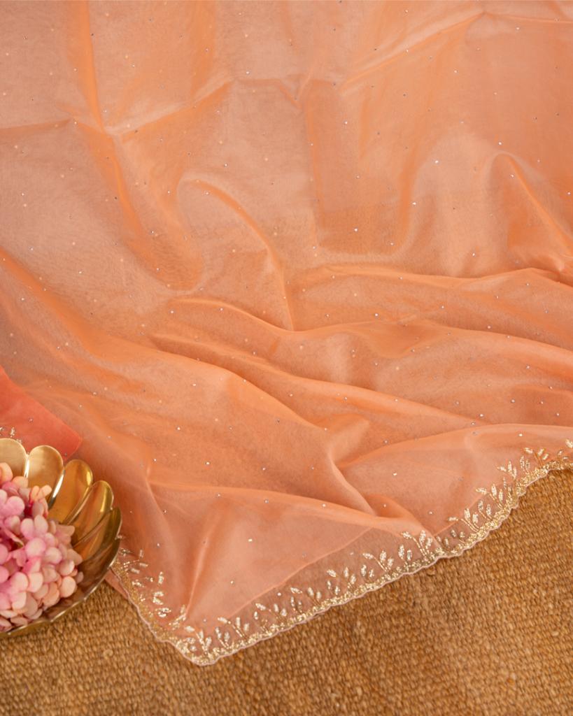 Pastel Peach Partywear Pure Orgaza Silk saree with Cutdana and Pearl Hand Embroidered Borders with Intricate Handwork Blouse | Blouse Size 38-44” | Free Shipping