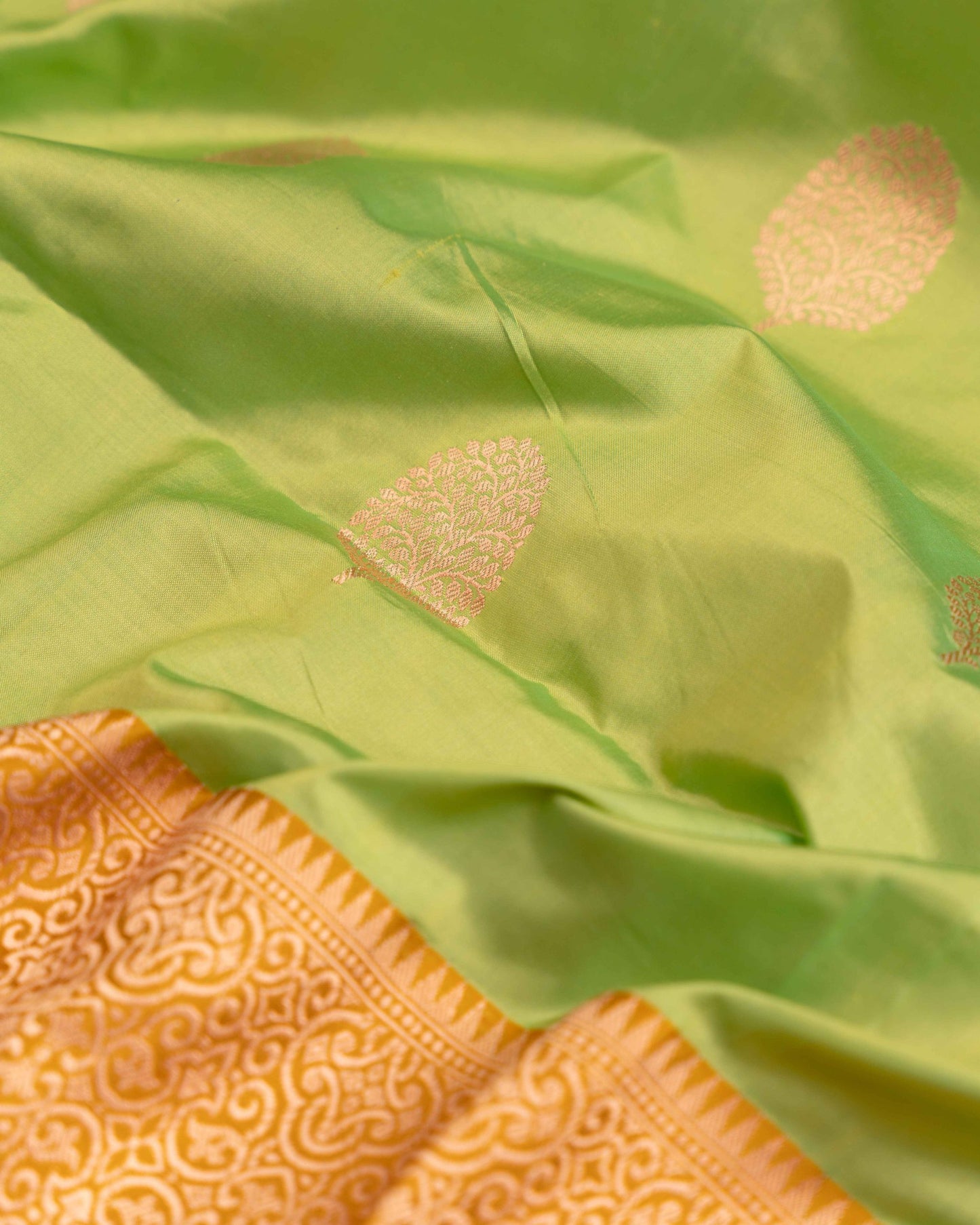 Banarasi Katan The Nature Green And Mustardsaree With Stitched Blouse In Size 38-44