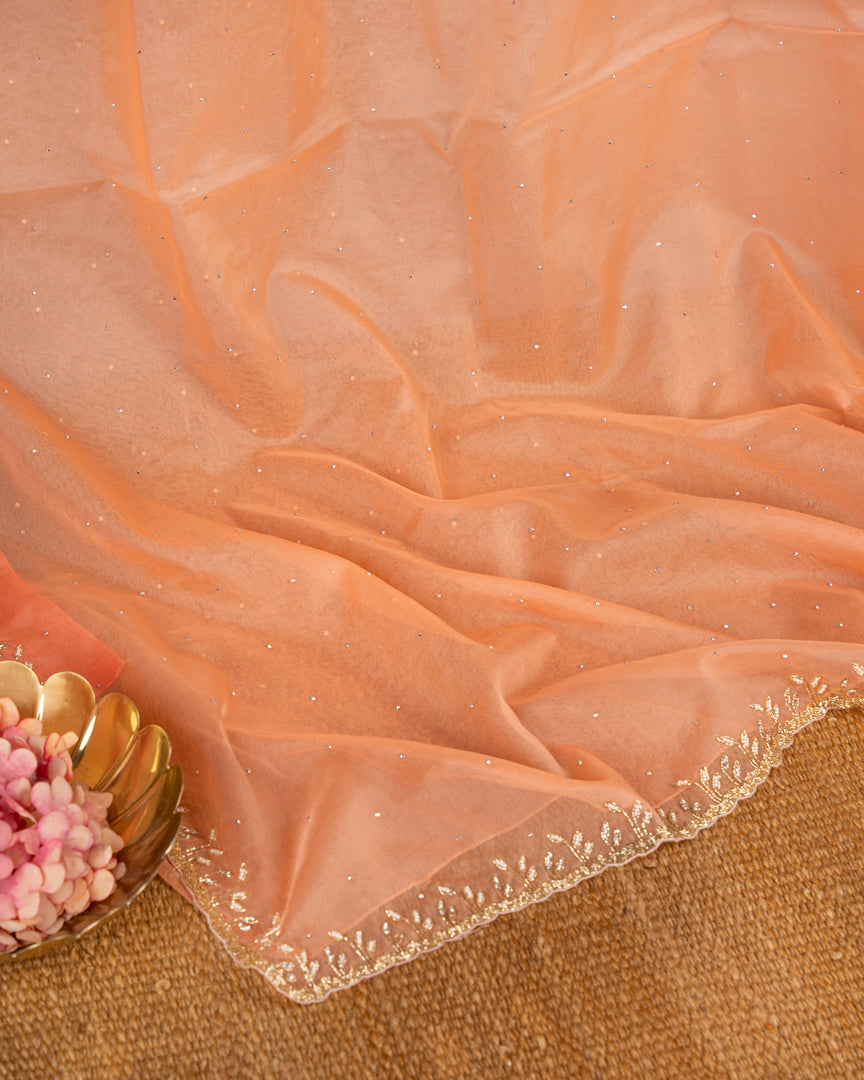 Pastel Peach Partywear Pure Orgaza Silk saree with Cutdana and Pearl Hand Embroidered Borders with Intricate Handwork Blouse