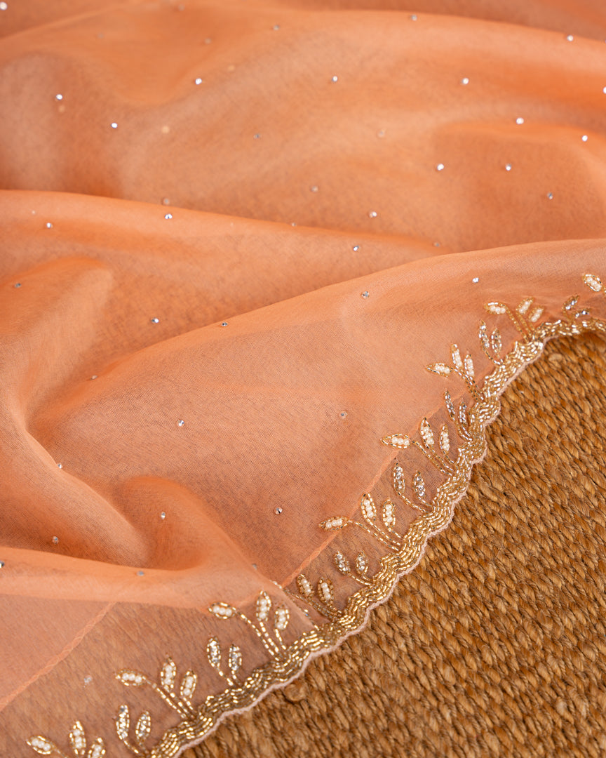 Pastel Peach Partywear Pure Orgaza Silk saree with Cutdana and Pearl Hand Embroidered Borders with Intricate Handwork Blouse